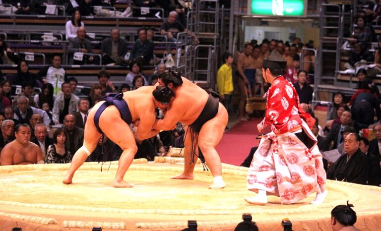 Ternyata Ini Alasannya Kenapa Pemain Sumo Berbadan Gemuk dan Besar Seperti Raksasa, Kampiunnews.com