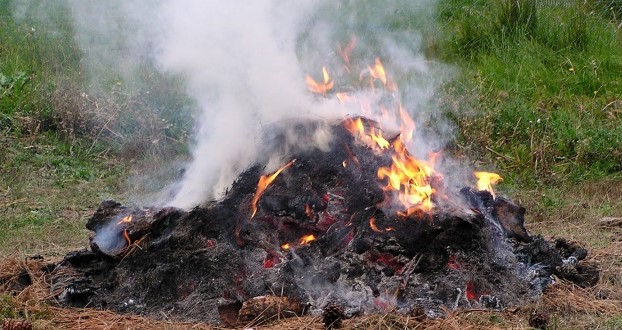 Jangan Coba-coba, Warga Kabupaten Bogor Bakar Sampah Bakal Disanksi Rp 50 Juta, Kampiunnews.com