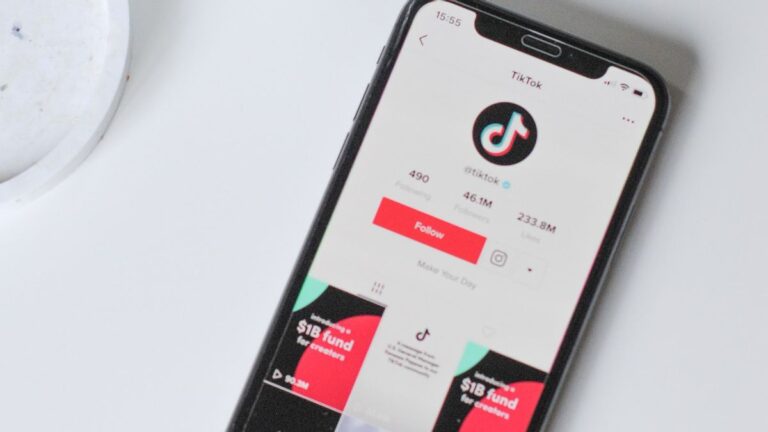 Pemerintah Resmi Larang TikTok Lakukan Perniagaan atau Traksaksi Jual Beli Barang, Kampiunnews.com