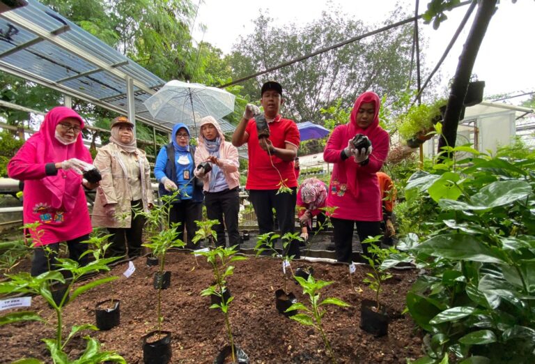 Camat Pesanggrahan Tanam Bibit Cabai untuk Stabilkan Harga Saat Ramadhan, Kampiunnews.com