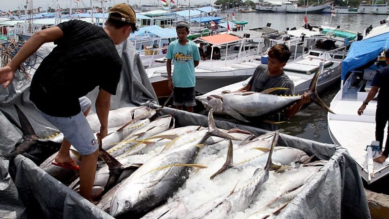 PT Perikanan Indonesia Pastikan Stok Ikan Aman Jelang Hari Raya Idulfitri 2024, Kampiunnews.com