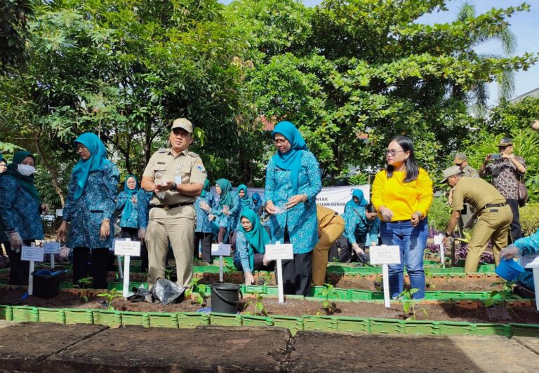 TP PKK Tanam 7.000 Bibit Cabai Serentak di Jakarta Barat, Kampiunnews.com