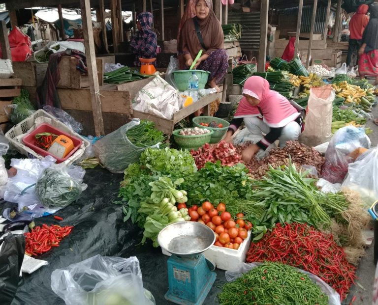 Kelangkaan BBM Picu Kenaikan Harga Sayur di Bone